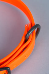 VRC01-OR-L,VRC01-OR-EL,VRC01-OR-M