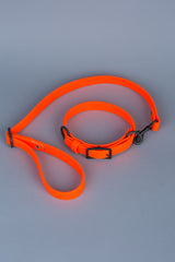 VRC01-OR-L,VRC01-OR-EL,VRC01-OR-M