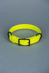 VRC01-NY-L,VRC01-NY-EL,VRC01-NY-M