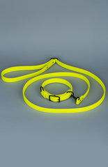 VRC01-NY-L,VRC01-NY-EL,VRC01-NY-M