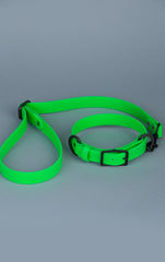 VRC01-MGRN-L,VRC01-MGRN-EL,VRC01-MGRN-M