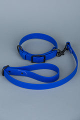 VRC01-ROB-L,VRC01-ROB-EL,VRC01-ROB-M