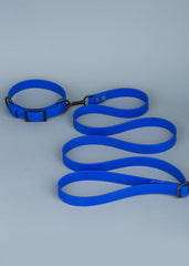 VRC01-ROB-L,VRC01-ROB-EL,VRC01-ROB-M