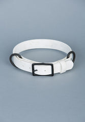 VRC01-WH-L,VRC01-WH-EL,VRC01-WH-M