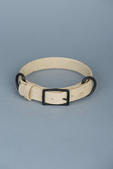 VRC01-DS-L,VRC01-DS-EL,VRC01-DS-M