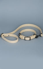 VRC01-DS-L,VRC01-DS-EL,VRC01-DS-M