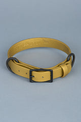 VRC01-GO-L,VRC01-GO-EL,VRC01-GO-M