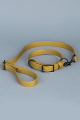 VRC01-GO-L,VRC01-GO-EL,VRC01-GO-M