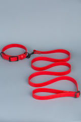 VRC01-RE-L,VRC01-RE-EL,VRC01-RE-M