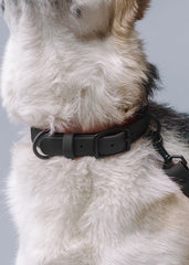 VRC01-BK-L,VRC01-BK-EL,VRC01-BK-M