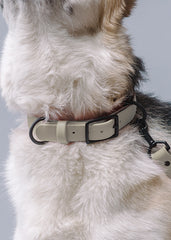 VRC01-DS-L,VRC01-DS-EL,VRC01-DS-M