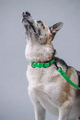 VRC01-MGRN-L,VRC01-MGRN-EL,VRC01-MGRN-M