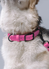 VRC01-HP-L,VRC01-HP-EL,VRC01-HP-M