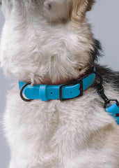 VRC01-LB-L,VRC01-LB-EL,VRC01-LB-M