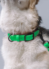 VRC01-MGRN-L,VRC01-MGRN-EL,VRC01-MGRN-M