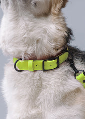 VRC01-NY-L,VRC01-NY-EL,VRC01-NY-M