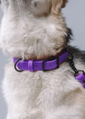 VRC01-PU-L,VRC01-PU-EL,VRC01-PU-M