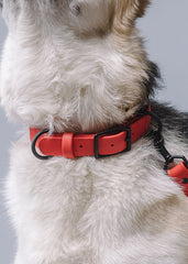 VRC01-RE-L,VRC01-RE-EL,VRC01-RE-M