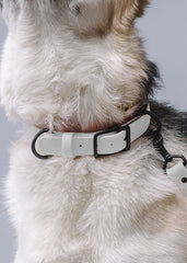 VRC01-WH-L,VRC01-WH-EL,VRC01-WH-M