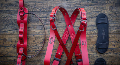 The Imperial Guard (Limited Edition Straps)