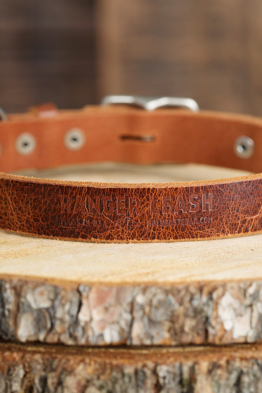 The Ranger Dog Collar 2 Ring Dog Collar Hold Fast