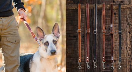 The Ranger Shorty Leash | Short Leather Handle For Your Pet